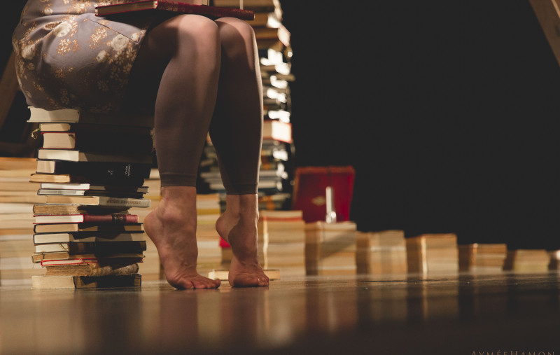 These Books Are Made for Walking by Alice Allart